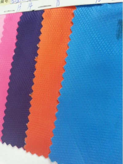 ZS-HIXG 孔雀點復合 後面照